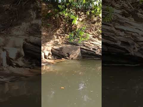 CHÁCARAS RIO DOS BOIS – CEZARINA / VARJÃO Entrada 15.000,00Mais 100xde 1.000,00 FIXAS  62 981414270