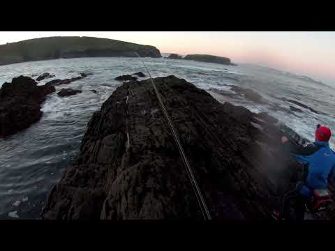 Lubina en Galicia... con Roberto Vega