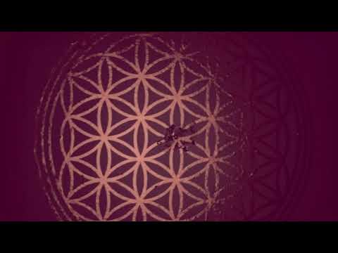 ORGONE ACCUMULATOR ( WILHELM REICH ) | MAGNETO-DIELECTRIC (SCALAR) FIELDS