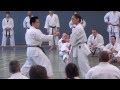 Schahrzad Mansouri Bunkai Sochin Bassai Sho HD