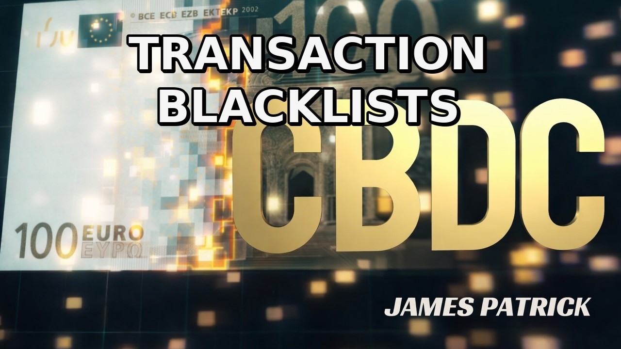 Programmable Money: Blacklists, Carbon Tracking — and Total Transaction Control?