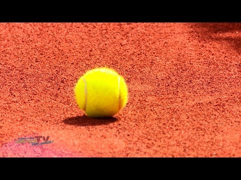 Tennis Herren 2.BL: TC 1899 Blau-Weiss Berlin vs. Oldenburger TeV