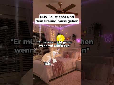 Folgt für mehr 😂#katze #katzen #katzenvideos