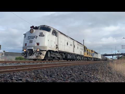 SSR CLP12, 4910, S311 & CLF3 roar past McIntyre Loop on 7MC5 grain to Henty NSW - 07/08/2021