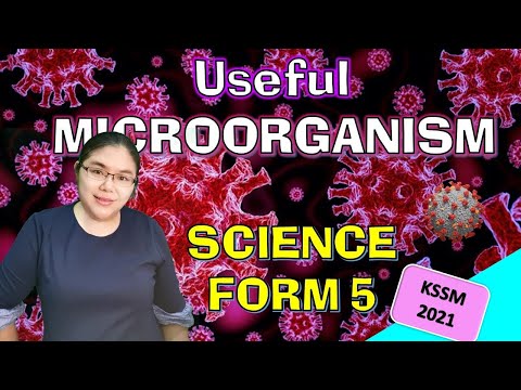 1.2 Useful Microorganism Science KSSM form  5
