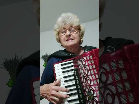 @Most do moga zavicaja