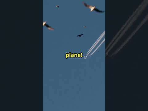 What If Earth Stopped Spinning?  ||  What If Earth Stopped Spinning  🌍  ||  QuickBytes