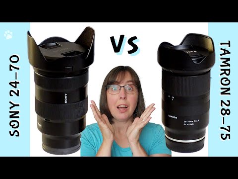 Sony 24-70 vs Tamron 28-75 | Pet Photographer Test