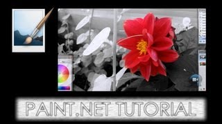 preview picture of video 'Paint.NET tutorial number 122 - Pleasantville / Sin (sins) city / Color Splash photo effect'