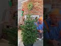 Blippi Decora A Árvore De Natal Shorts Blippi Natal