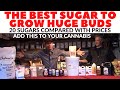 Definitive Guide To Feeding Cannabis Plants Sugar For Max Growth