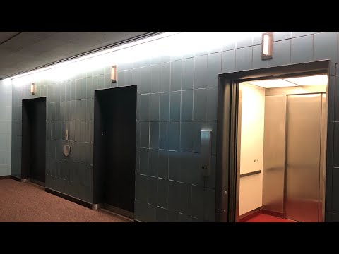 Sad Condition! AMAZING Vintage Westinghouse Elevators @ 1185 Concord Street N in South St. Paul, MN