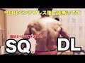 40歳から筋トレ!今日はベンチプレス後では無いですがSQ、DLやりました。