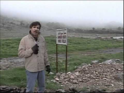 Geraldo Rivera Montage - Golden Cedar 'Night of a Hundred Stars' Gala Spectacular