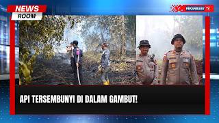 85 Hektare Lahan Gambut Terbakar, Bara Api Masih Mengancam