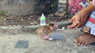 Lonely Selena Screaming Loud Following Mom Train Her To Playing