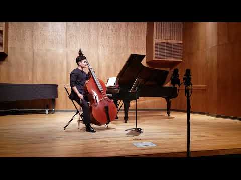 Vanhal bass concerto