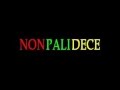 NONPALIDECE LA SONRISA YouTube 