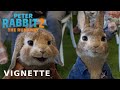 PETER RABBIT 2: THE RUNAWAY - The More Things Change Vignette