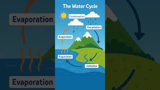 #watercycle