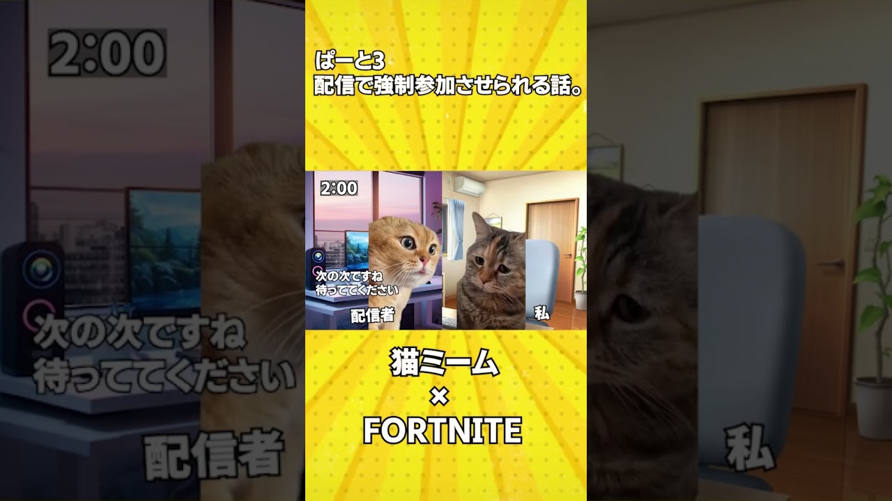 ぱーと3 配信で強制参加させられる話。#猫ミーム #フォートナイト
