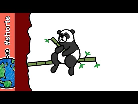 Nem todo panda é preto e branco... #shorts