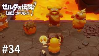 ゼルダの伝説 知恵のかりもの #34【パシらされるお姫様】