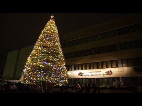 政治経済学科 聖学院大学クリスマスツリー点火祭