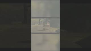 Spring Dress  #gaming #zelda #tp #JKTradio #ordon #tunic