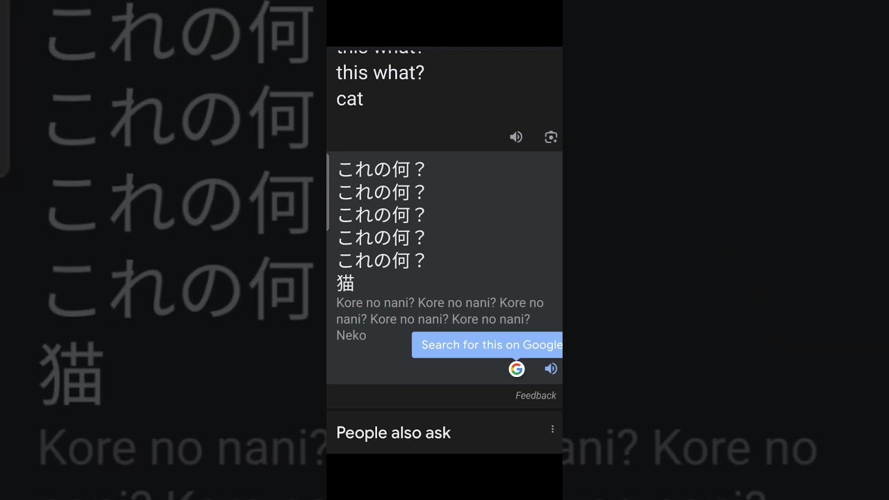 this what? cat in Japanese 😂#KuromiYT #trend #Funny #Japanese #google |KuromiYT