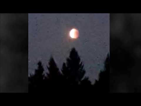 53. yung biocide - nonexistent (Bones - Poltergeist Remake) [18.12.2018]