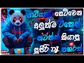 Trending Dj Nonstop 2025 New Sinhala Song Dj Remix 2025 Bass Boosted Party Dance Dj Remix