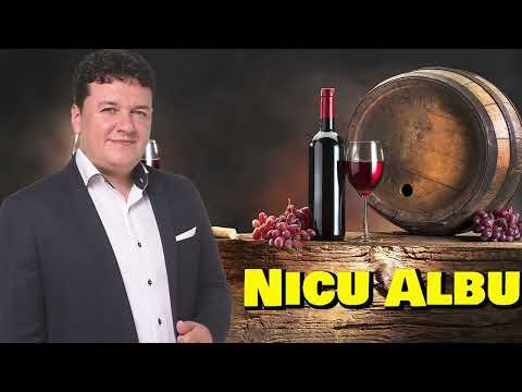 Nicu Albu ❌ SUPER COLAJ MUZICA DE PETRECERE 🔥 Sarbe si Hore