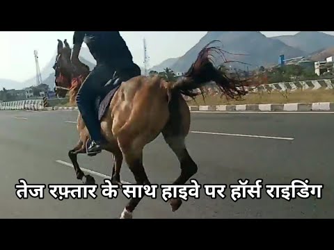 Horse Riding On Road | Horse Running Sound Effect | Very Fast Horse Riding | Sound Of Horse Negging
