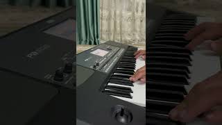 Download lagu Korg PA 600 - Желтые тюльпаны 🌷 mp3