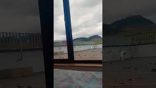 Download lagu #dailyshorts #zivot #ludia #youtubeshorts #inspirace #vztahy #myslienky #motivation mp3 Download lagu #dailyshorts #zivot #ludia #youtubeshorts #inspirace #vztahy #myslienky #motivation mp3