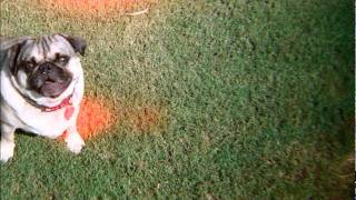 'Color Sky (Cuzzo D & Waes One Refix)' - Monster Rally