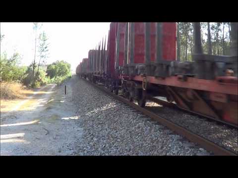 Comboio de Madeira nº 48838 - P.K. 199.9, Linha do Oeste