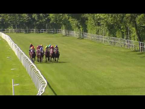 BA 14.5. Dostihy 2 - Hendikep Tempeltänzera