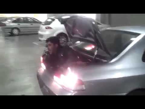 Thumbnail for Auto Pieper xD by Pieper