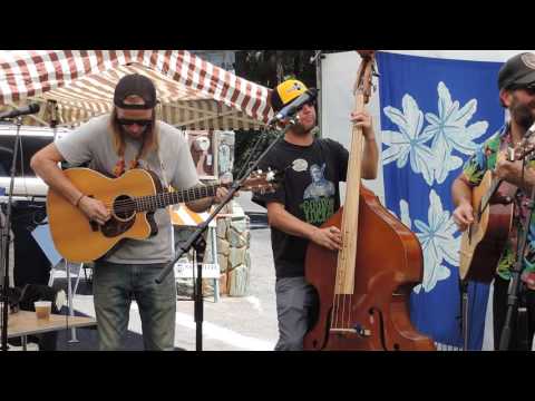 Little Fuller Band. Twain Harte Arts and Wines Festival. 2016