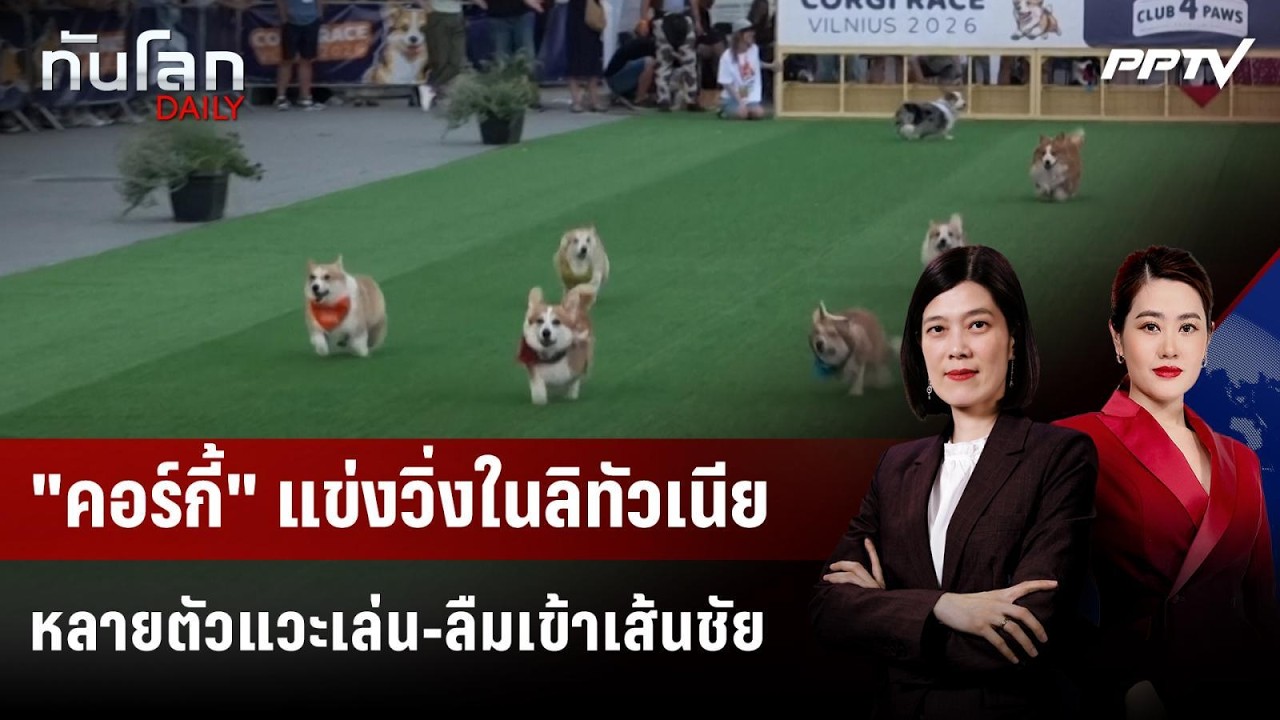 "คอร์กี้" แข่งวิ่งในลิทัวเนีย หลายตัวแวะเล่น-ลืมเข