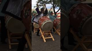 Taiko Legacy