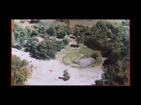 SWAN - DARKSOULS [85 PROD]