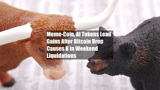Meme-Coin, AI Tokens Lead Gains After Bitcoin Drop Causes $2B in Weekend Liquidations