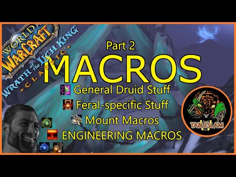 Go GIGA With These Macro Tips | FERAL DRUID WORKSHOP | WRATH CLASSIC