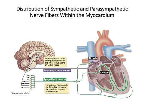 CHAPTER 16 - KNES 373 - Recording - Medicine Hat College