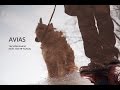 Avias - Так или иначе (feat. Костя Чалых) 