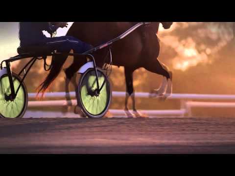 Tigrijiet Biss 2013/2014