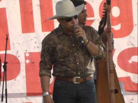 el toro negro cotizo